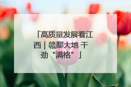 高质量发展看江西｜赣鄱大地 干劲“满格”