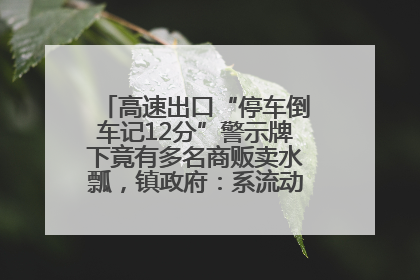 高速出口“停车倒车记12分”警示牌下竟有多名商贩卖水瓢，镇政府：系流动摊位，已多次劝离