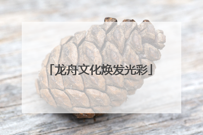 龙舟文化焕发光彩