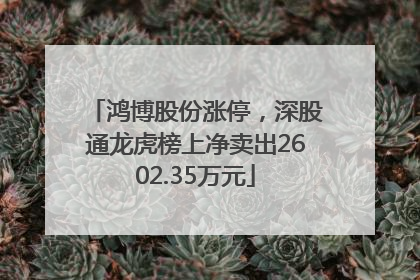 鸿博股份涨停，深股通龙虎榜上净卖出2602.35万元