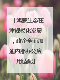 鸿蒙生态在津规模化发展，政企全面加速内部办公应用适配