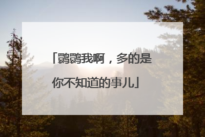 鹮鹮我啊，多的是你不知道的事儿