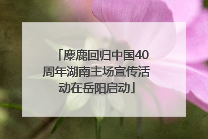 麋鹿回归中国40周年湖南主场宣传活动在岳阳启动