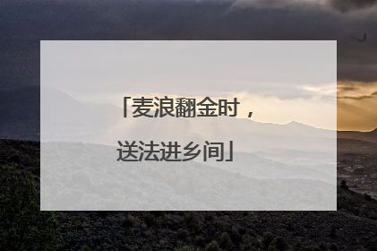 麦浪翻金时，送法进乡间