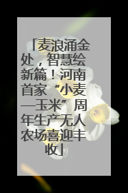 麦浪涌金处，智慧绘新篇！河南首家“小麦—玉米”周年生产无人农场喜迎丰收