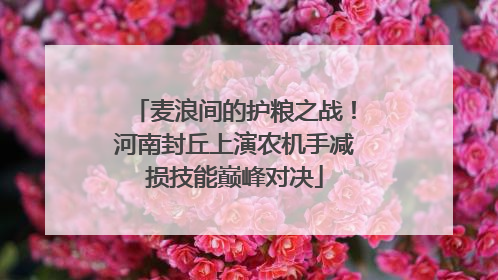 麦浪间的护粮之战！河南封丘上演农机手减损技能巅峰对决
