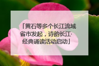 黄石等多个长江流域省市发起，诗韵长江·经典诵读活动启动