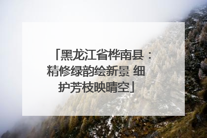 黑龙江省桦南县：精修绿韵绘新景 细护芳枝映晴空