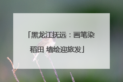 黑龙江抚远：画笔染稻田 墙绘迎旅发
