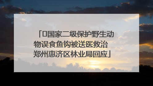 ﻿国家二级保护野生动物误食鱼钩被送医救治 郑州惠济区林业局回应