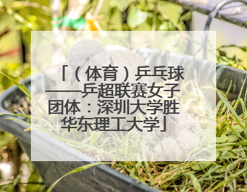 （体育）乒乓球——乒超联赛女子团体：深圳大学胜华东理工大学