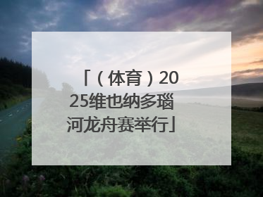 （体育）2025维也纳多瑙河龙舟赛举行