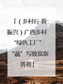 （乡村行·看振兴）广西乡村“绿色工厂” “蔬”写致富新答卷