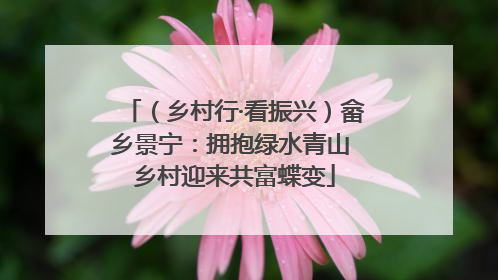 （乡村行·看振兴）畲乡景宁：拥抱绿水青山 乡村迎来共富蝶变