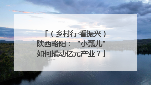 （乡村行·看振兴）陕西略阳：“小瓢儿”如何撬动亿元产业？