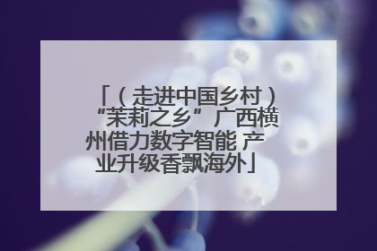（走进中国乡村）“茉莉之乡”广西横州借力数字智能 产业升级香飘海外