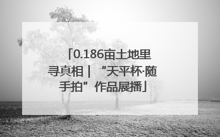 0.186亩土地里寻真相｜“天平杯·随手拍”作品展播