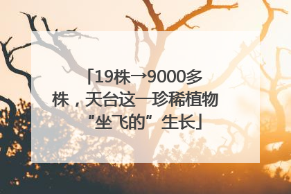 19株→9000多株，天台这一珍稀植物“坐飞的”生长