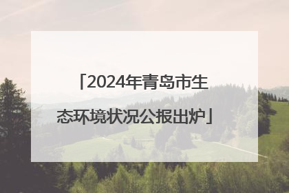 2024年青岛市生态环境状况公报出炉