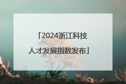 2024浙江科技人才发展指数发布