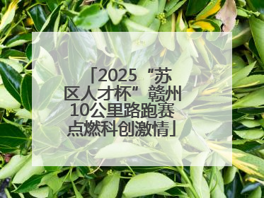2025“苏区人才杯”赣州10公里路跑赛点燃科创激情