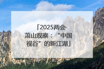 2025两会·萧山观察：“中国视谷”的新江湖