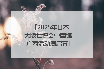 2025年日本大阪世博会中国馆广西活动周启幕