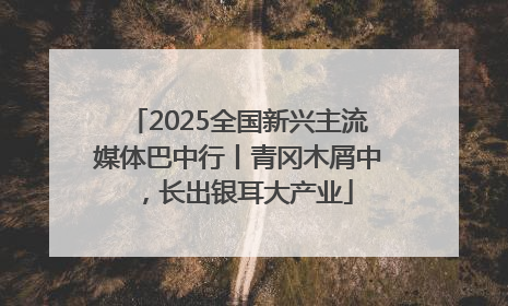 2025全国新兴主流媒体巴中行丨青冈木屑中，长出银耳大产业