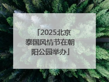2025北京泰国风情节在朝阳公园举办