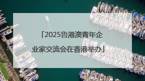 2025鲁港澳青年企业家交流会在香港举办