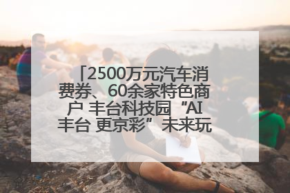 2500万元汽车消费券、60余家特色商户 丰台科技园“AI丰台 更京彩”未来玩家市集活动正式开幕