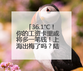36.1℃！你的工资卡里或将多一笔钱！上海出梅了吗？陆家嘴“开瓶器”变“加湿器”？