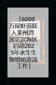 6000万尾虾苗跃入莱州湾 潍坊滨海区启动2025年水生生物增殖放流工作
