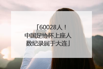 60028人！中国足协杯上座人数纪录属于大连