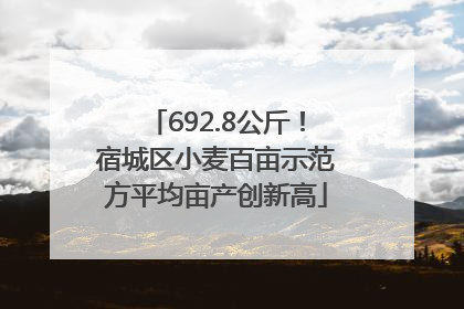 692.8公斤！宿城区小麦百亩示范方平均亩产创新高