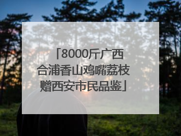 8000斤广西合浦香山鸡嘴荔枝赠西安市民品鉴