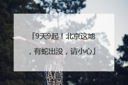 9天9起！北京这地，有蛇出没，请小心