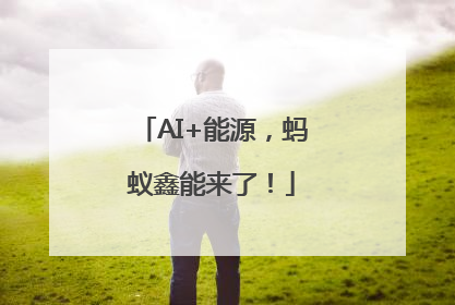AI+能源，蚂蚁鑫能来了！