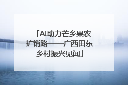AI助力芒乡果农扩销路——广西田东乡村振兴见闻