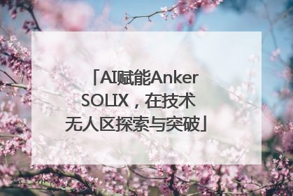 AI赋能Anker SOLIX，在技术无人区探索与突破